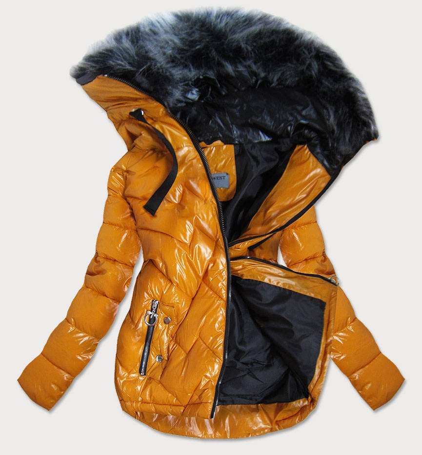 slightly shiny jacket with a hood