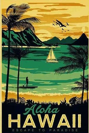 

Hawaii Paradise – Paint By Numbers - 40*50CM, 501 Original