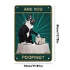 Cat Are You Pooping - Vintage Metal Signs - 20*30cm/30*40cm
