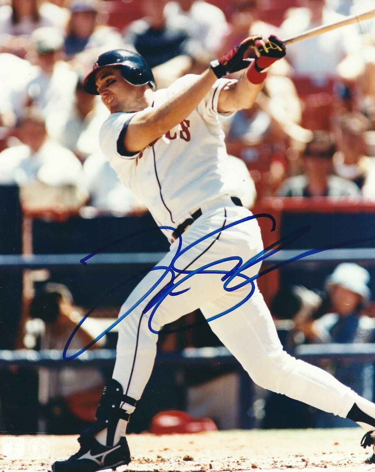 AUTOGRAPHED TIM SALMON 8X10 California Angels Photo Poster painting W/COA