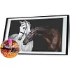 Diamond Painting -DIY Round Drill Two Horses(50X100CM)