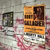 Rory Gallagher - Vintage Metal Signs - 20*30cm/30*40cm - Music