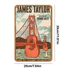 James Taylor - Vintage Metal Signs - 20*30cm/30*40cm - Music
