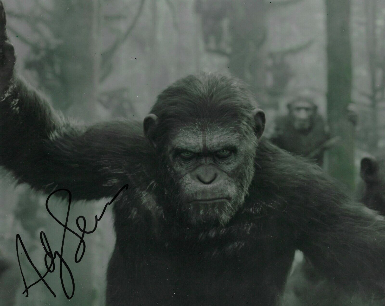 Andy Serkis Signed Dawn Of The Planet Of The Apes 10x8 Photo Poster painting AFTAL