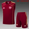 2025/2026 Arsenal Pre-Match Training Deep Dates Vest+Shorts Football1:1 Thai Quality