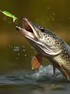 5pcs Fishing Lures Whopper Popper Artificial Bait with Rotating Tail Crankbait
