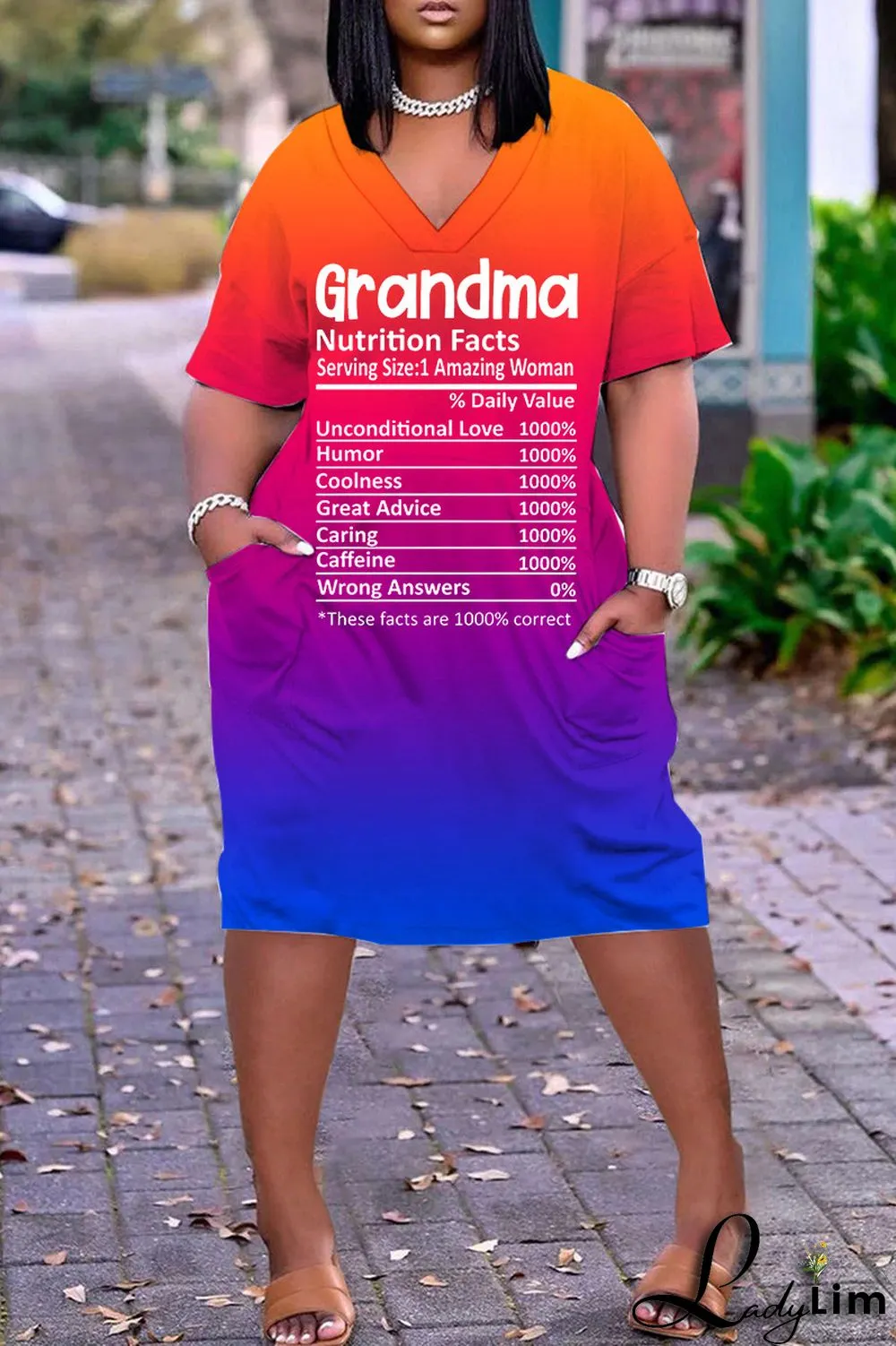 Light Blue Casual Print Basic V Neck Short Sleeve Dress Dresses