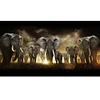 Elephant - Round Drill Diamond Painting - 80*45CM - Large Size