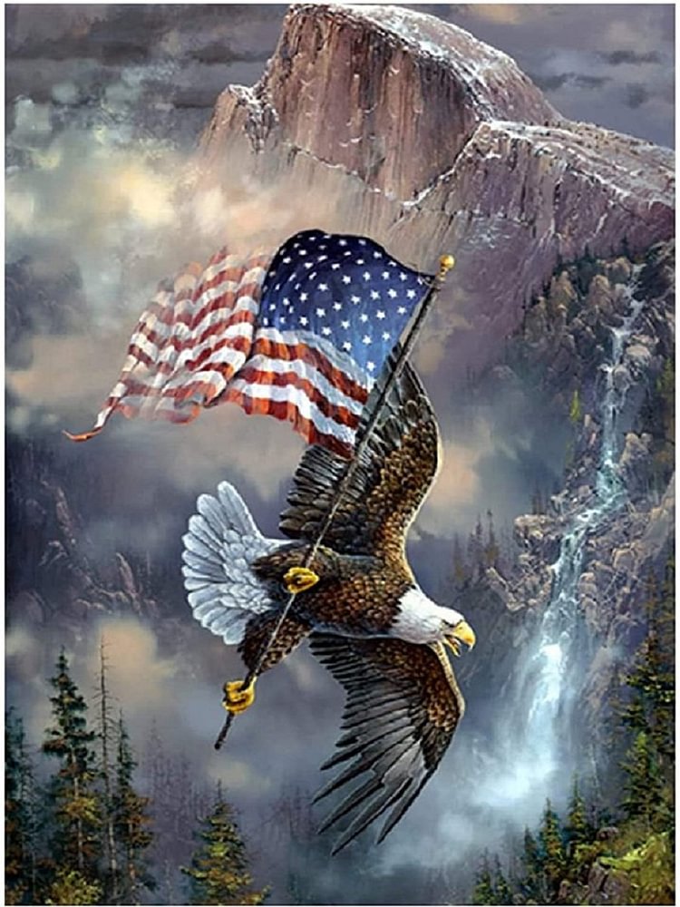 Eagle Holding American Flag 50*60CM(Canvas) Full Round Drill Diamond Painting gbfke
