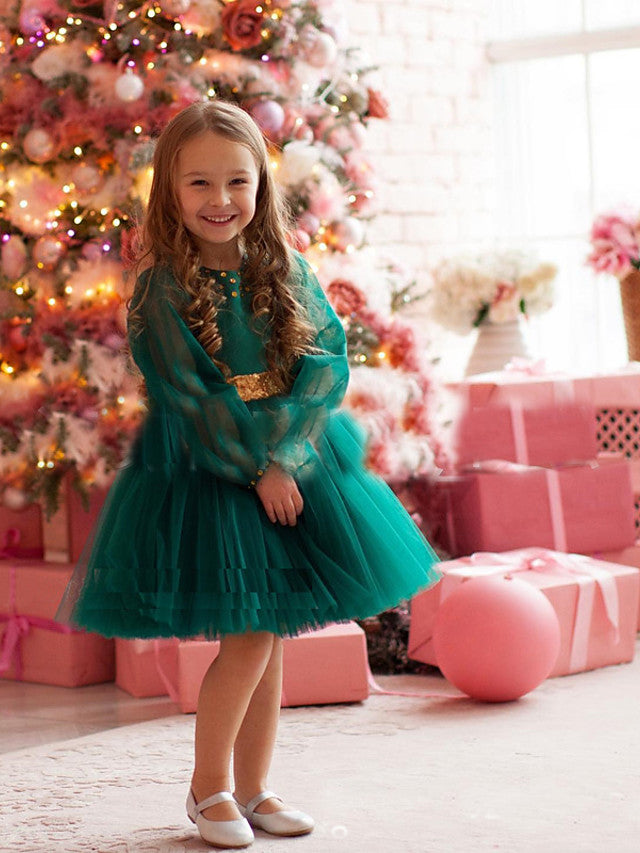 Oknass  A-Line Long Sleeve Jewel Neck Flower Girl Dresses Tulle With Beading Paillette