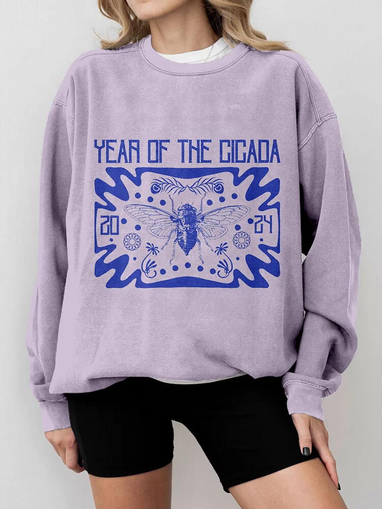 Year Of The Cicada 2024 Vintage Washed Sweatshirt