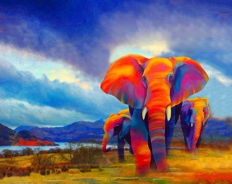 

Colored Elephants – Paint By Numbers - 40*50CM, 501 Original