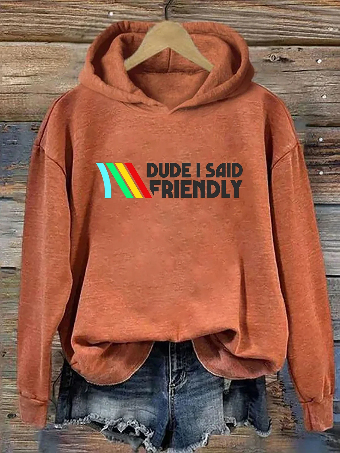 Dude I Said Friendly Hoodie
