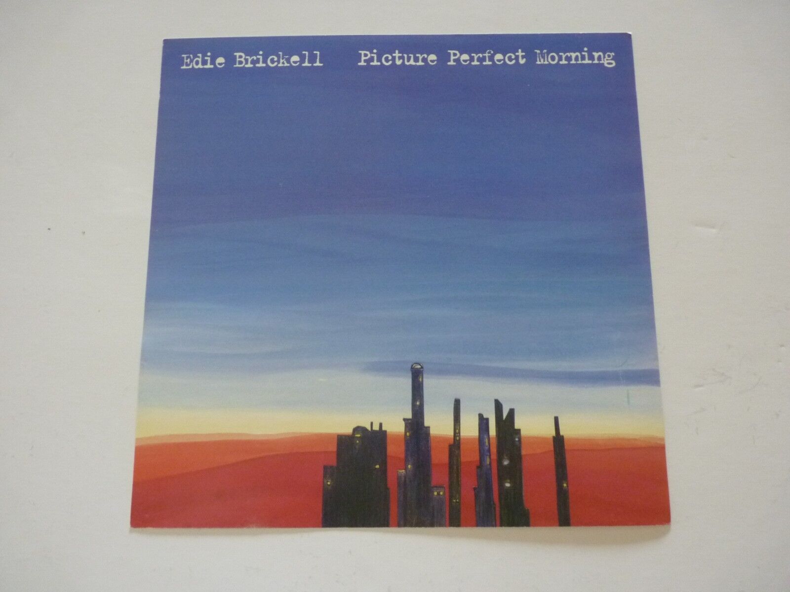 Edie Brickell Picture Perfect Morning 94 Promo LP Record Photo Poster painting Flat 12x12 Poster