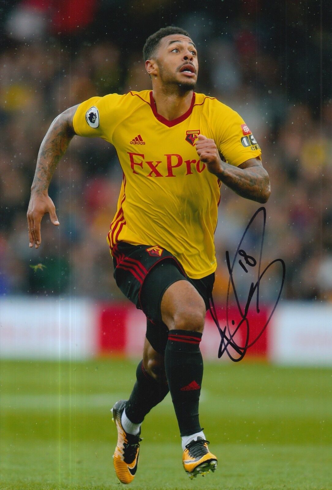 WATFORD HAND SIGNED ANDRE GRAY 12X8 Photo Poster painting 1.