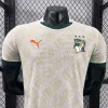 2026 World Cup Player Ivory Coast Soccer Jersey Home