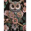 Diamond Painting-DIY Crystal Rhinestone Owl
