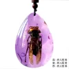 Insect Amber Pendant Natural Butterfly Specimen Insect Amber Necklace Children's Hanging Accessories