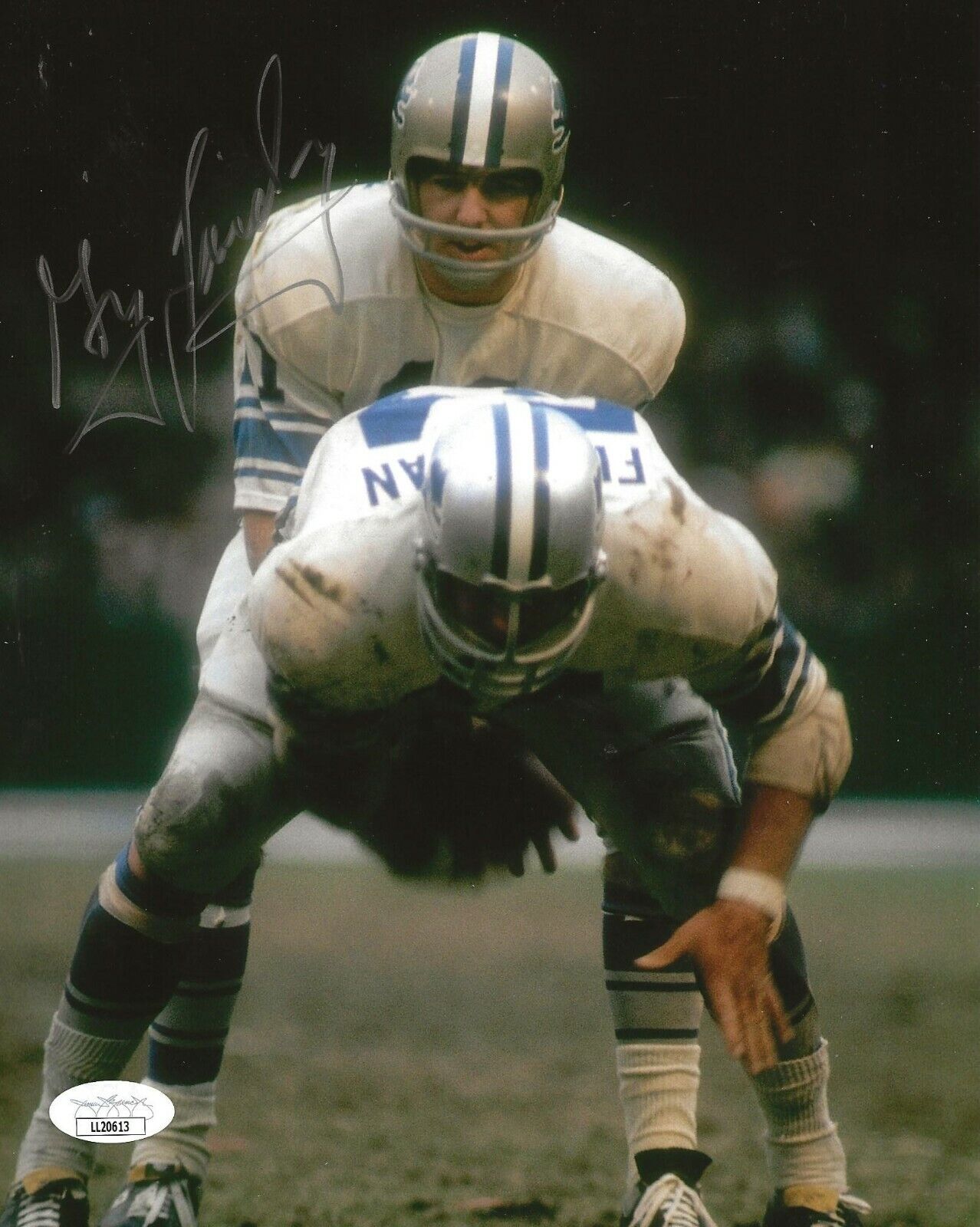 Greg Landry signed Detroit Lions 8x10 Photo Poster painting autographed 2 JSA