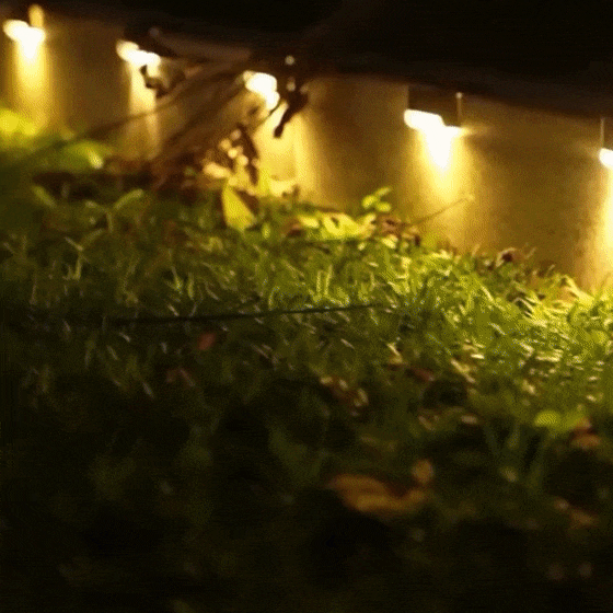 Cheap & Discount Solar LED Waterproof Stair Light(3 Pack) Wholesale
