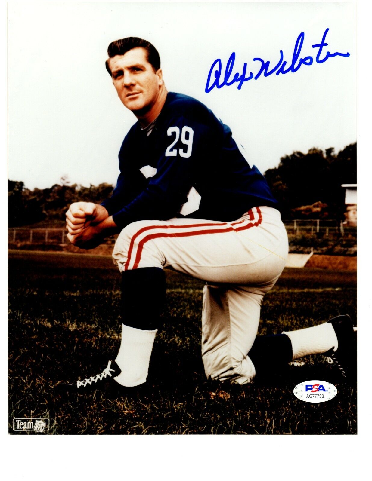 Alex Webster autographed signed 8x10 Photo Poster painting NFL New York Giants PSA COA