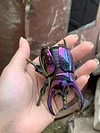 Clockwork beetle toy insect beetle simulation animal rhinoceros beetle electroplating mechanical model