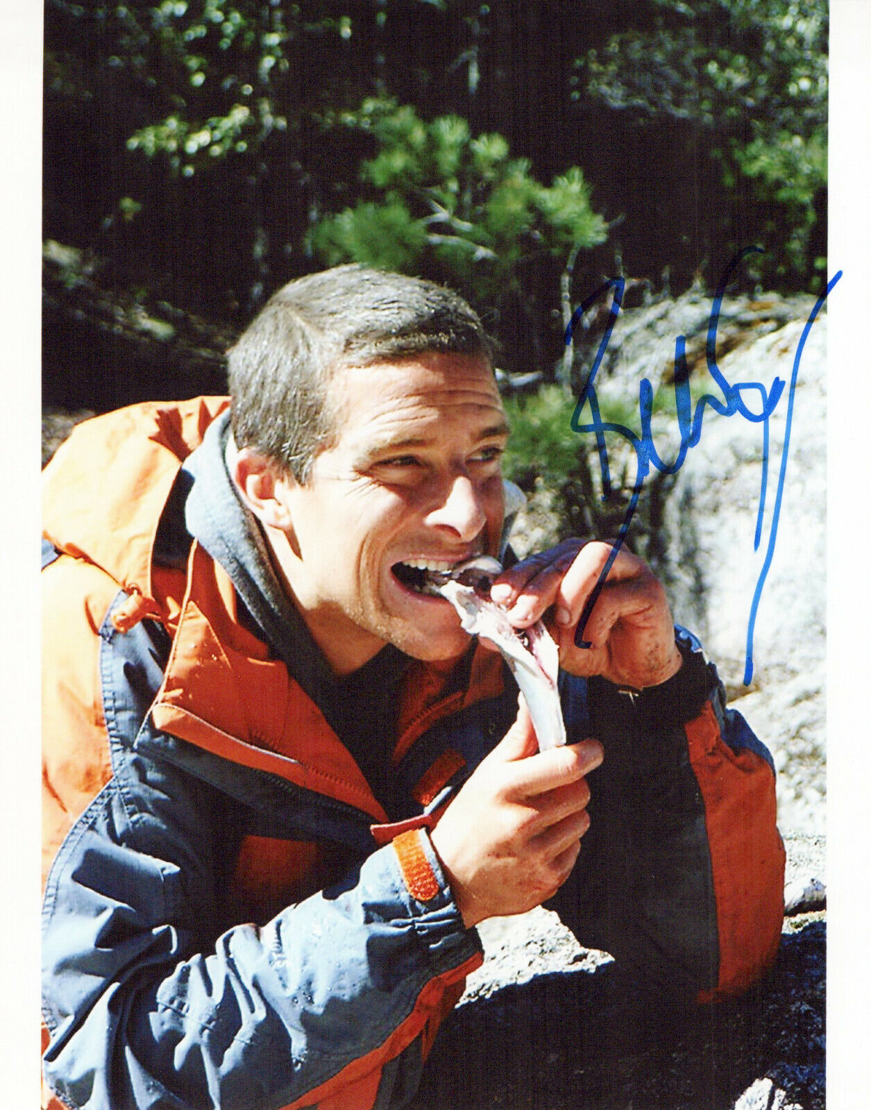 Bear Grylls Man Vs. Wild autographed Photo Poster painting signed 8x10 #3