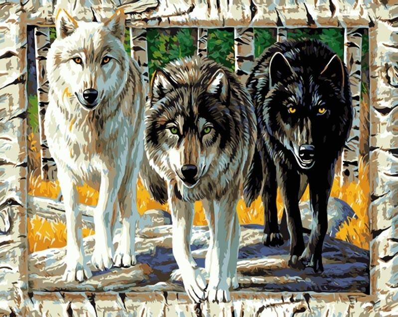 

Wolves on Frame – Paint By Numbers - 40*50CM, 501 Original