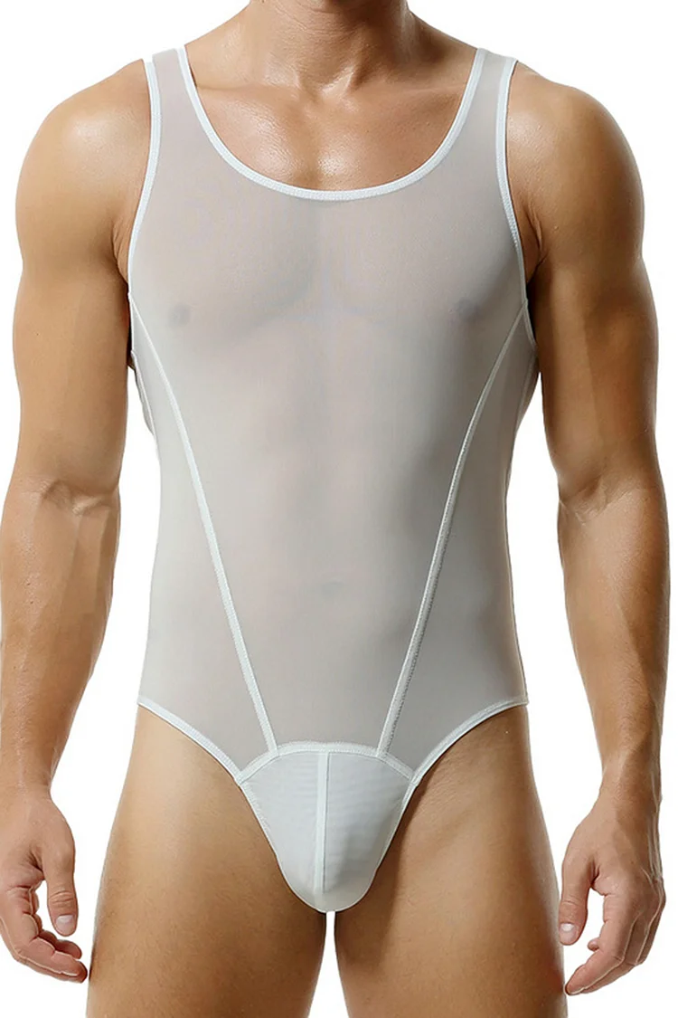 See Through Mesh Stretchy Bodycon Thong Bodysuit