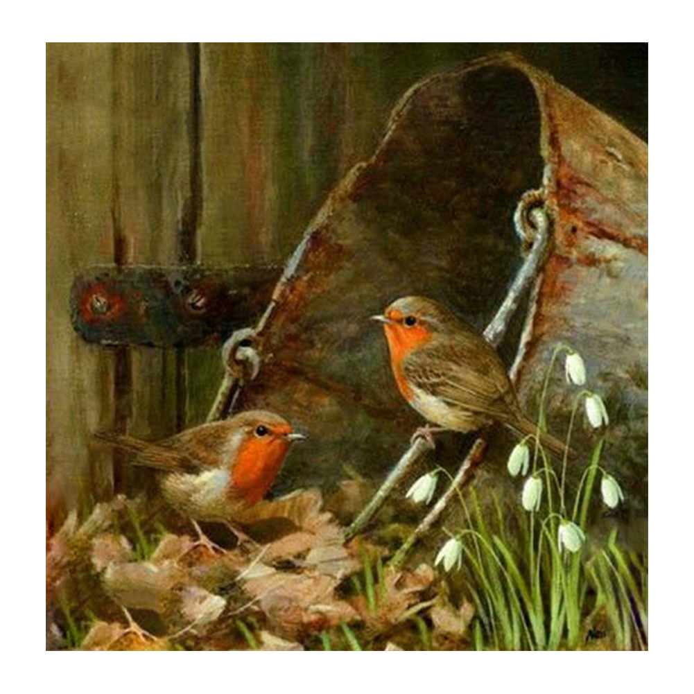 30*30CM - Round Drill Diamond Painting - Cuckoo, 501 Original