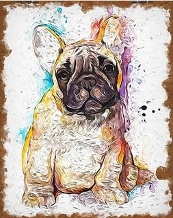 

Splatter French Bulldog – Paint By Numbers - 40*50CM, 501 Original