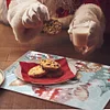 Christmas Diamond Painting Placemats DIY Diamond Dot Kits for Home Decor