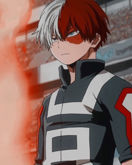 

Aesthetic Shoto Todoroki – Paint By Numbers - 40*50CM, 501 Original