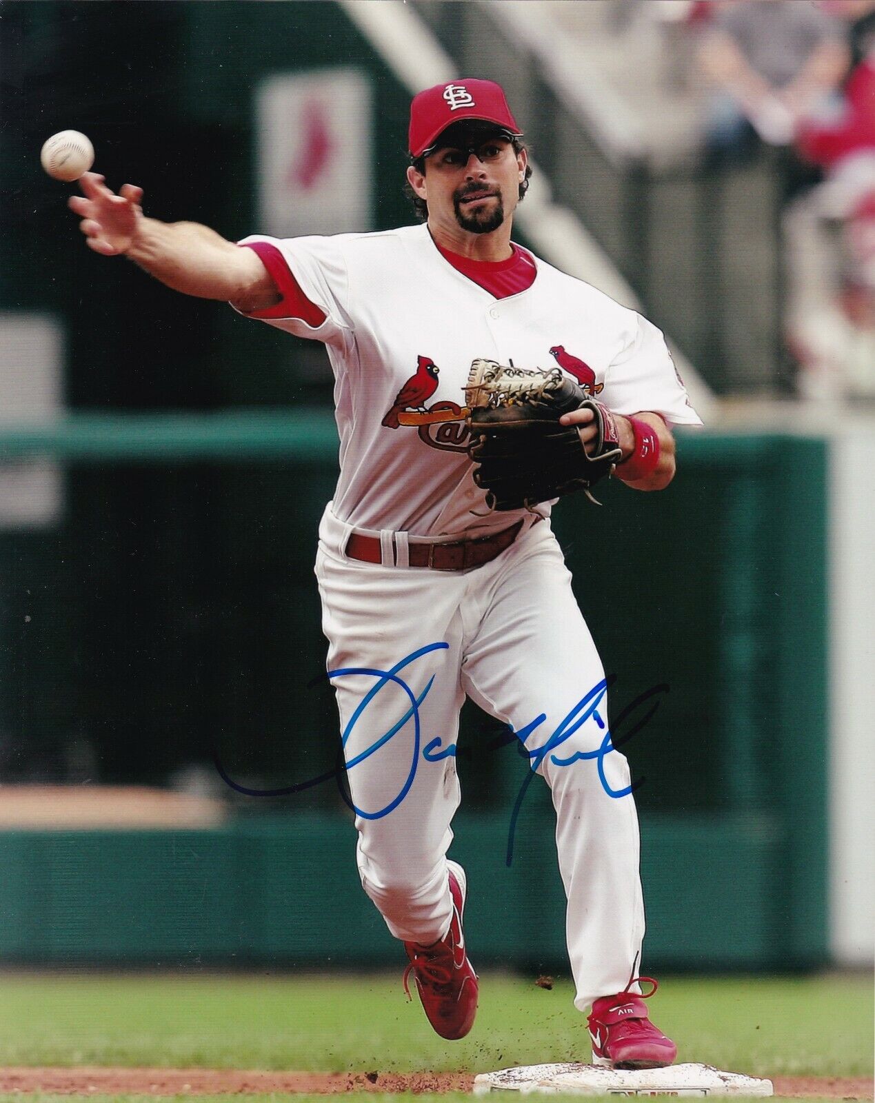 AARON MILES ST. LOUIS CARDINALS ACTION SIGNED 8x10