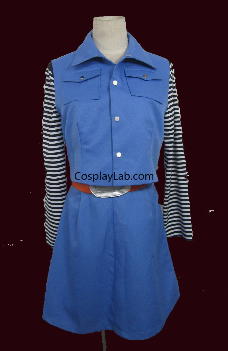 Dragon Ball Chi Chi Cosplay Costume