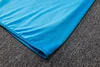 Joyfball 2024/2025 Flamenco Long Zipped Jacket Blue Soccer Jersey 1:1 Thai Quality 