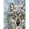 Wolf-11CT Counted Cross Stitch Kit(27*39cm)