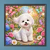 Diamond Painting -5D Full Round Drill Bichon Frise Puppy(40x40cm)