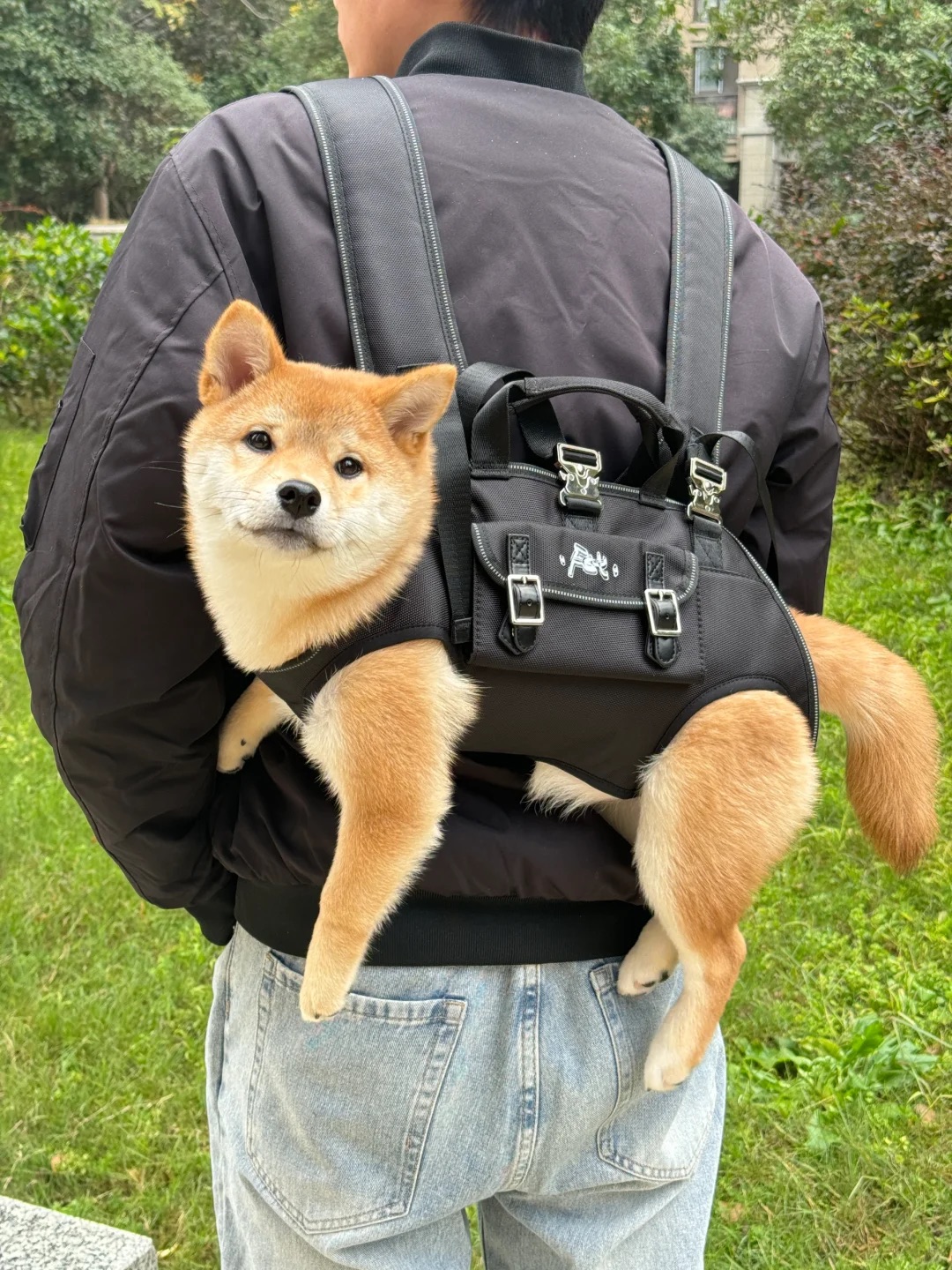 Kelly ペットカート C210 OSOTO GRACE | 犬用カート | ジェックス