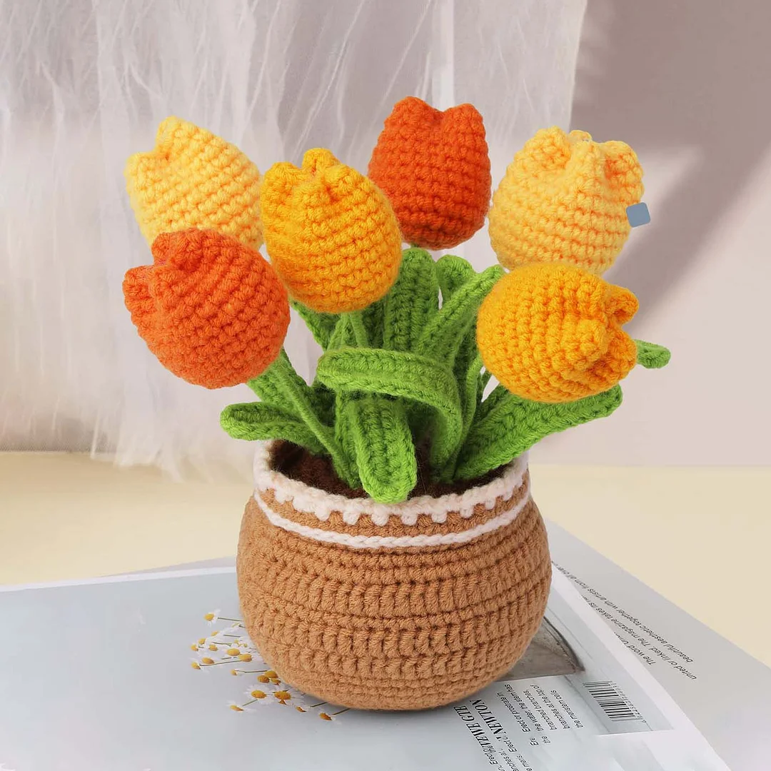 Mewaii Crochet Flowers and Potted Plants For Beginners Crochet Kit with