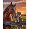 (40*50cm)Horse and Cat - Full Round Drill Diamond Painting
