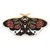 Magical Moth Night