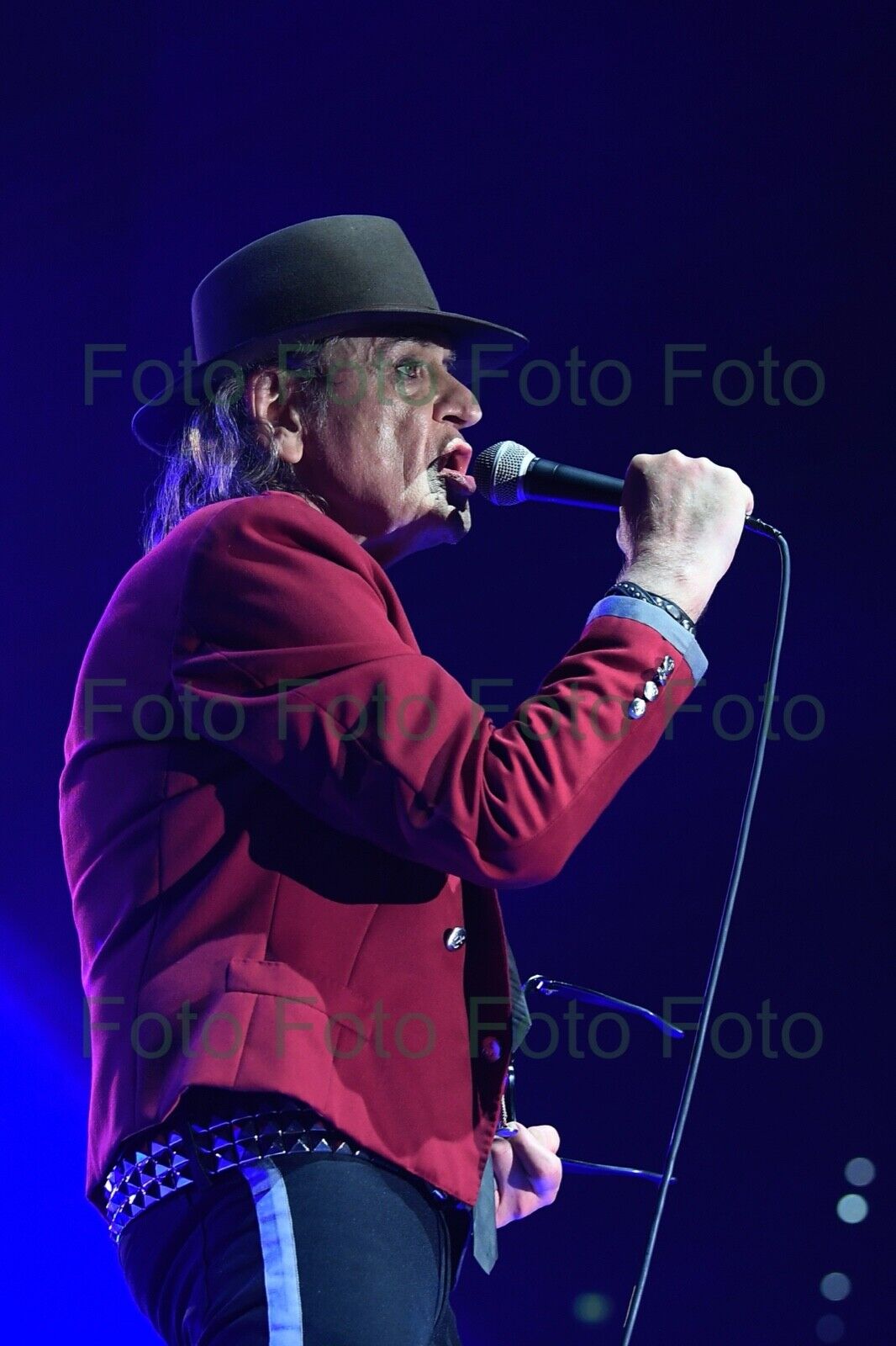 Udo Lindenberg Rock Musik Maler Foto 20 x 30 cm ohne Autogramm (Be-15