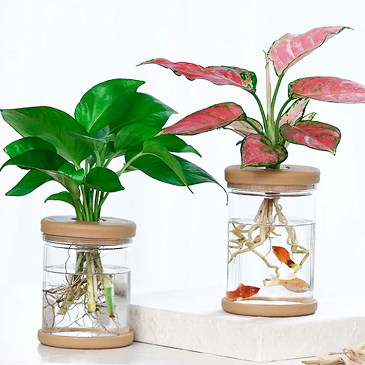 Mini Hydroponic Flower Pot Home Vase Transparent Imitation Glass Soilless Pots For Home Decor | 168DEAL
