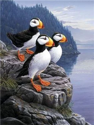 Animal Penguin Paint By Numbers Kits UK For Adult Y5657