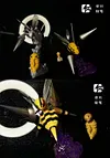 1/20 Scale World Zukan Evolution of Beedrill Set & Mega Beedrill Set - Pokemon Resin Statue - ZR Studios