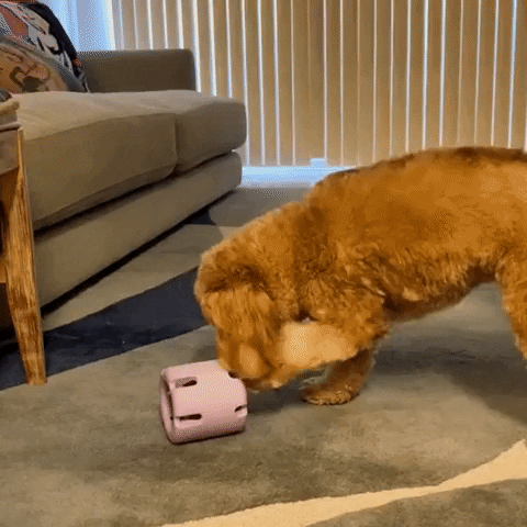 Chewbie Tennis Dog Chew Toy