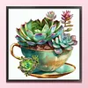 Teacup Succulent-Partial 11CT Stamped Cross Stitch Bead Embroidery 36*36cm/14.17*14.17in tapestrymarket