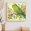 Perroquet-Peinture diamant en forme sp&eacute;ciale-30*30cm