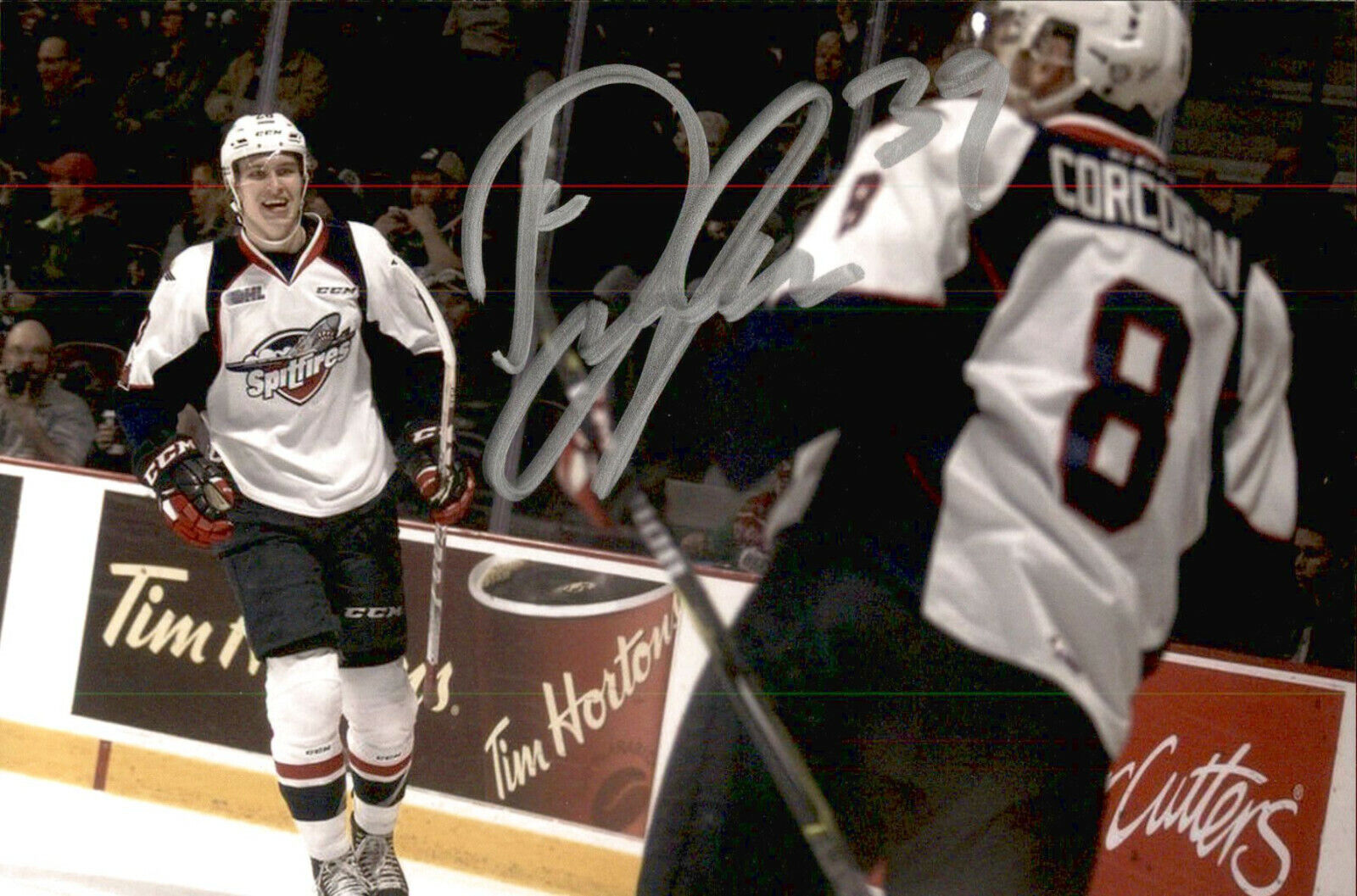 Curtis Douglas SIGNED autographed 4x6 Photo Poster painting WINDSOR SPITFIRES / DALLAS STARS